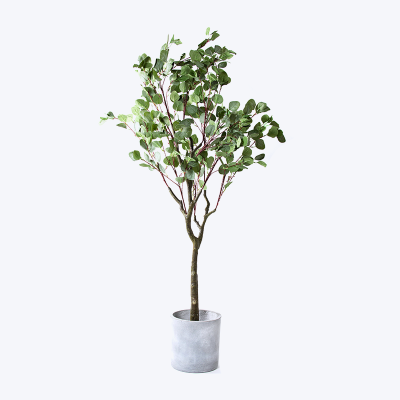 گیاه و گلدان سبز جعلی Eucalyptus-m